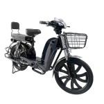 22 inch Baling King front and rear guard rear folding shelf load power type household electric bicycle 400W/800W motor